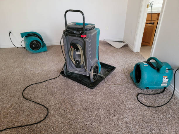 Best 24-hour water damage restoration  in St Anne, IL
