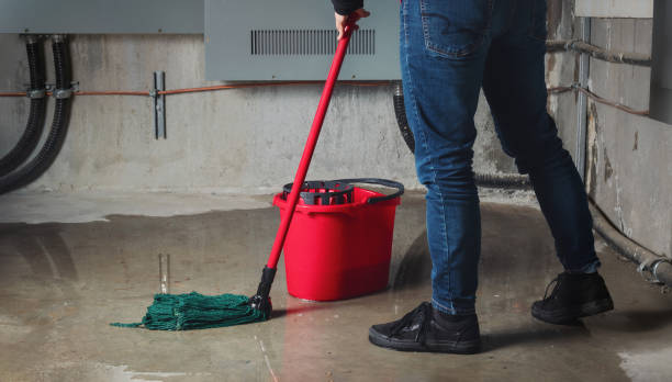 Best Commercial water damage restoration  in St Anne, IL