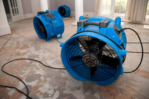 Best Basement water damage restoration  in St Anne, IL