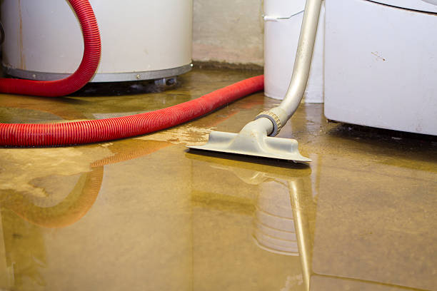Best Water damage cleanup near me  in St Anne, IL