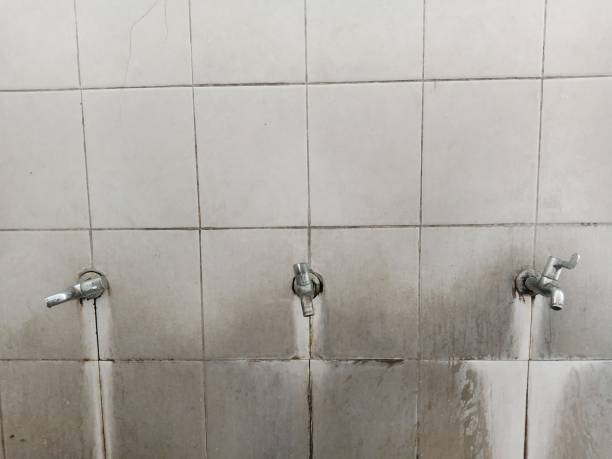 Best Ceiling water damage repair  in St Anne, IL