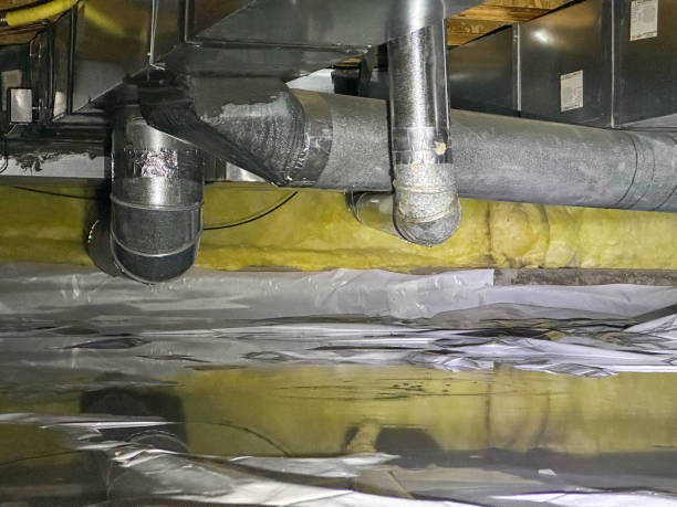Best Water damage restoration near me  in St Anne, IL