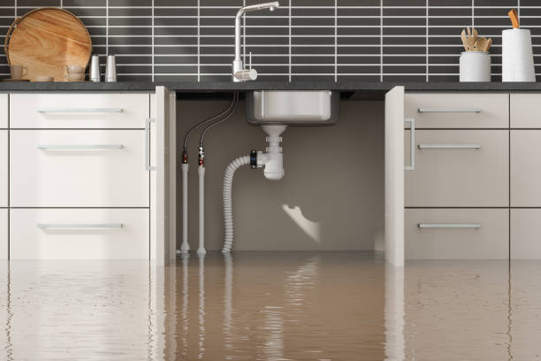 Best Residential water damage restoration  in St Anne, IL