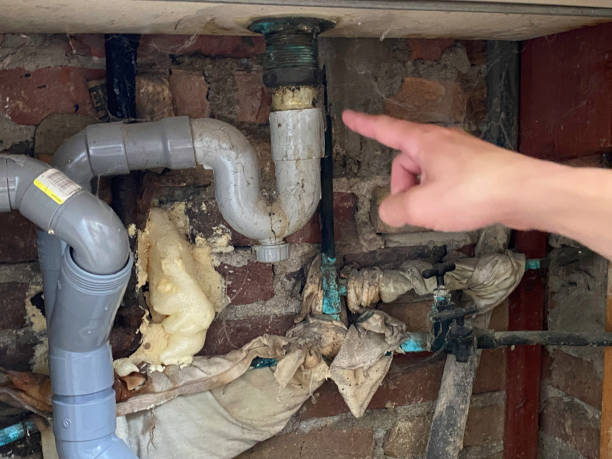 Best Flood restoration services  in St Anne, IL